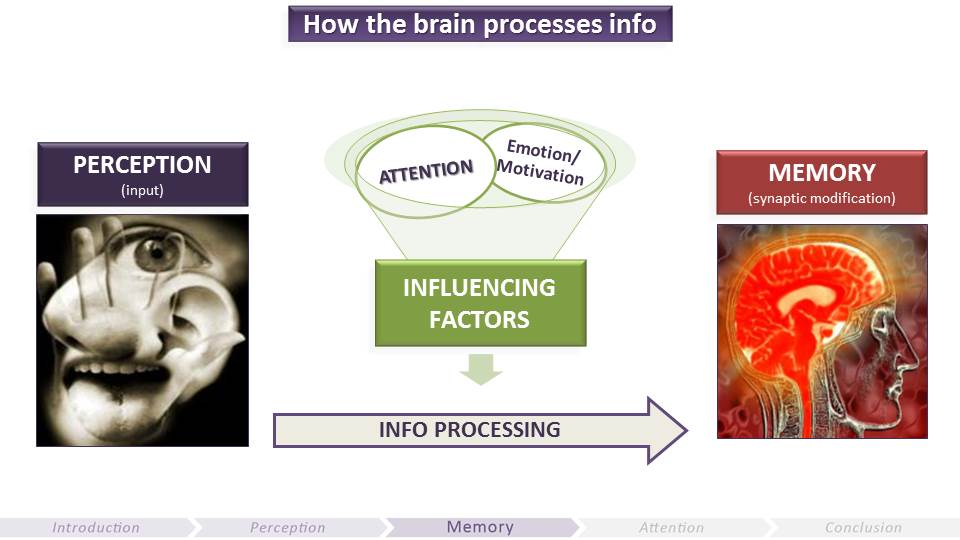 How the Brain Processes Info | Video Game UX